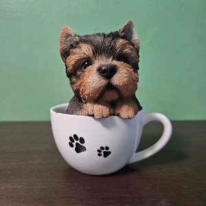 Yorkshire Terrier Puppy Teacup Statue Yorki in Cup Figurine Black and Brown - Picture 1 of 5