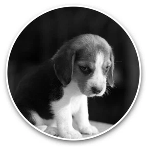 2 x Vinyl Stickers 20cm (bw) - Cute Beagle Puppy Dog Baby #42381 - Afbeelding 1 van 8