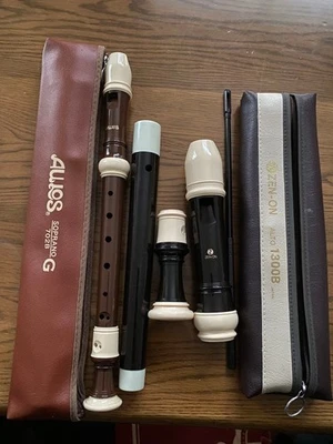 Juego de Grabadora Alta y Soprano Alrecorder Usado Sin Daños Mayores Instrumentos Musicales Foto 1 de 3
