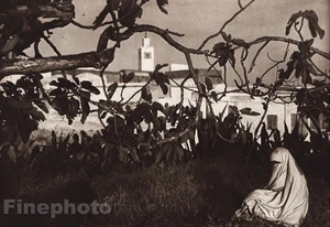 1924 Original TUNISIA Fig Garden Female Meditation Photo Art LEHNERT & LANDROCK - Picture 1 of 1