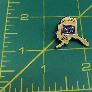Alaska Elks Club Pin - Plastic Alaska map shape with the AK State Flag in middle - Picture 1 of 3