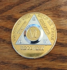 6 year HOW  AA Recovery Chip - Picture 1 of 4