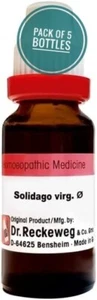 5 XDr. Reckeweg Solidago Vir Tintura Madre Q - Foto 1 di 3
