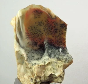 MOSS AGATE ! interesting & rare - KAZAKHSTAN Karagandy Province - KOSTUBE /kw229 - Picture 1 of 12