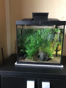 Superfish Fish Tank Only - Picture 1 of 2