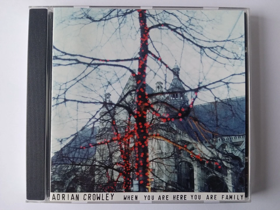 Adrian Crowley – When You Are Here You Are Family CD ( Steve Albini ) - Image 1 of 1
