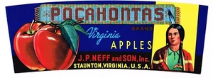 ORIGINAL C1950 CRATE LABEL APPLE VIRGINIA POCAHONTAS NATIVE AMERICAN INDIAN - Picture 1 of 1