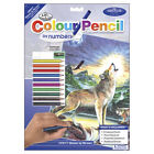 3 Pack Royal & Langnickel Color Pencil By Number Kit 8.75"X11.75"-Wolf At Night