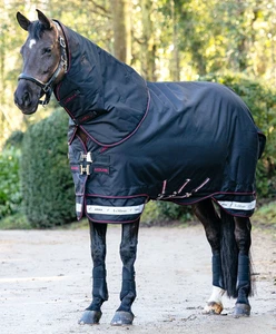 LeMieux Arika Storm-Tek 100g Light/Medium Turnout Rug with Hood Black 4'9"-7'3" - Picture 1 of 4