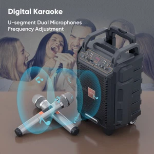 Altavoz Bluetooth VIDVIE Trolley SP916 - Karaoke - Radio - 2 Micrófonos Inalámbricos - Auxiliar - Imagen 1 de 9