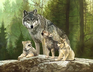 Original Wolf Painting by Robert J. May - Picture 1 of 1