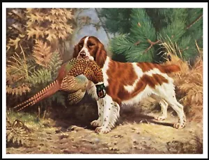 WELSH SPRINGER SPANIEL DOG AND BIRD VINTAGE STYLE DOG ART PRINT POSTER - Foto 1 di 1