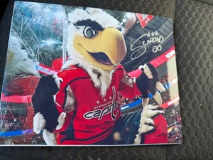 Slapshot Washington Capitols NHL Maskottchen signed 8x10 Foto - Bild 1 von 1