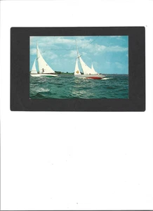 SAILBOAT RACING PC "Heeling in a Stiff Breeze"   UNUSED   No Writing   CLEAN - Picture 1 of 2