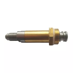Stantuffo per Bezzera BZ10 Pm Push Button 1GR,B2013,BZ07,BZ09 Galatea Proex - Foto 1 di 1