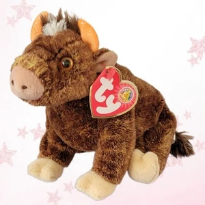 ⭐️ TRIKOT ⭐️ BBOM - TY Beanie Babys des Monats - Neu mit Etikett - Bild 1 von 6