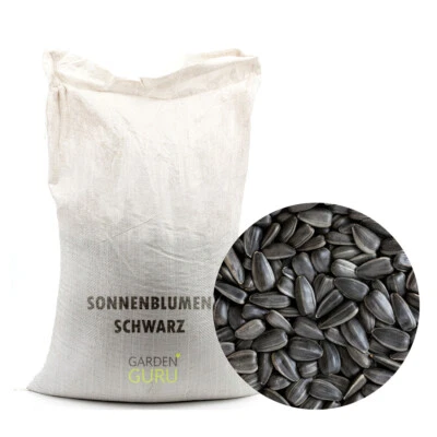 20 kg schwarze Sonnenblumenkerne Winter Ernte 2024 Ganzjahresvogelfutter - Bild 1 von 4