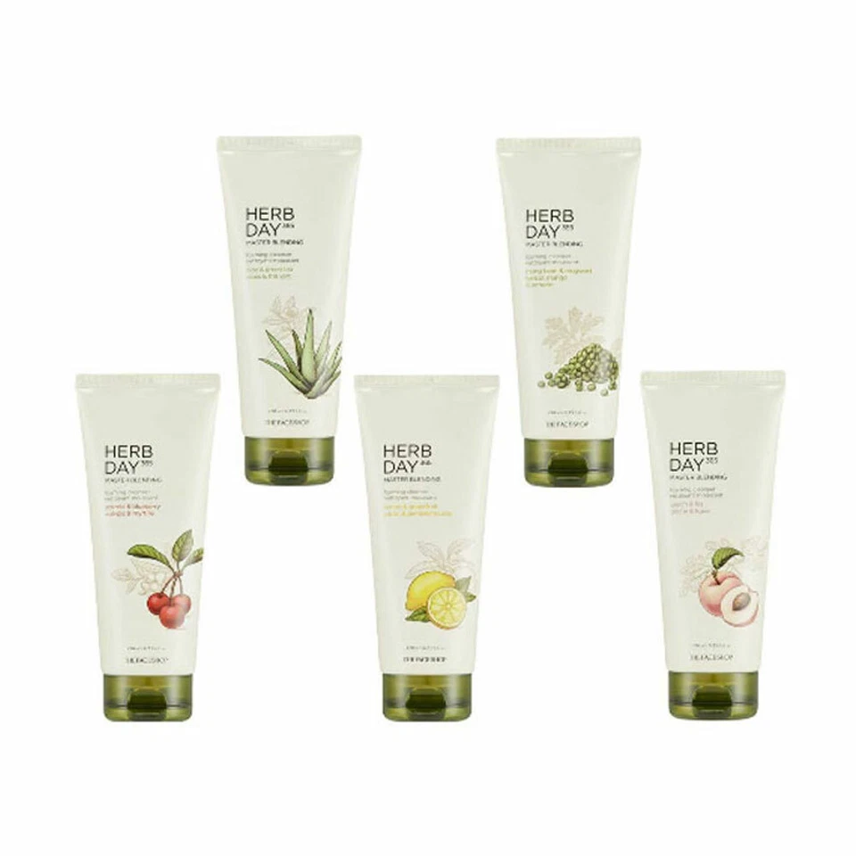 [THE FACE SHOP] Herb Day 365 Master Blending Foaming Cleanser - 170ml - image 1 of 1