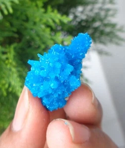 Cavansit Kristall Mineralien Probe - Bild 1 von 4