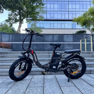 FAFREES F20 X-Max 20 Zoll Elektrofahrrad Klapprad 750W eBike 48V 30Ah E Citybike - Bild 1 von 40