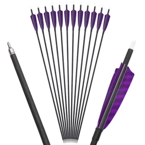 30'' ID6.2mm Archery Carbon Arrows SP500 4" Turkey Feathers Bow Hunting Target - Picture 1 of 20