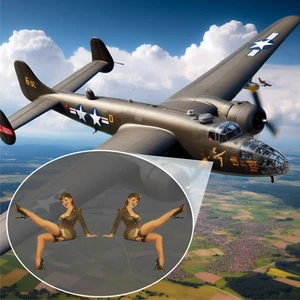 2er Set Fernbedienung (RC14) Pin Up Girl RC Flugzeug Aufkleber Decal - Bild 1 von 7