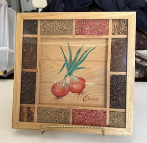 Kitchen Decor Framed Hand Painted Red Onion & Dried Herbs Seeds, 10x10" - Picture 1 of 5