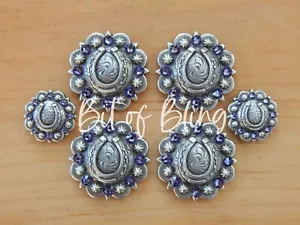 Tanzanite Antique Silver Horseshoe Berry Saddle Concho Set Western Horse Tack - Picture 1 of 3
