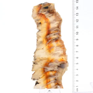 Angel Wing Jasper 4 x Slabs 405g Pack, Gemstone Slab, Lapidary, Cabbing - Picture 1 of 4