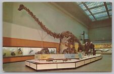 Space~Giant Sauropod Dinosaur Diplodocus~Smithsonian Museum~Vintage Postcard