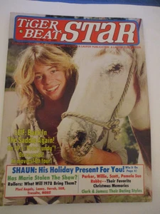 Leif Garrett, Marie Osmond, Shaun Cassidy - Tiger Beat Star Magazine 1978 - Foto 1 di 8