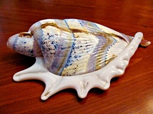 STUNNING ART GLASS MURANO STYLE 9" CONCH SHELL TROPICAL BEACH NAUTICAL DECOR EXC - Picture 1 of 12