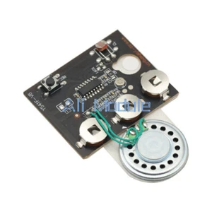 30s Greeting Card Recordable Voice Chip Music Box Sound Module DIY Musical NEW - Afbeelding 1 van 5