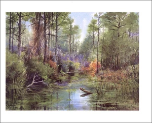 2000 Vintage Druck Big Lagoon State Park Florida Schildkröte in Sonne Aquarell Bild - Bild 1 von 3