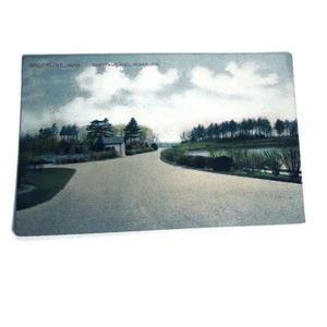 Postal Color Chestnut Hill Reservoir Brookline MA Massachusetts No. 1009 - Imagen 1 de 5