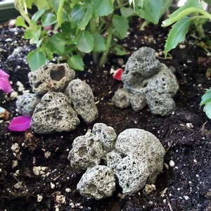 Pile per roccia lavica in miniatura - Foto 1 di 1