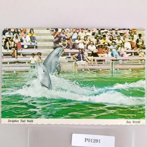 Dolphin Tail Walk Sea World San Diego CA 1970s 4x6 Scalloped Postcard - Picture 1 of 2