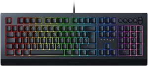 Razer Cynosa V2 Gaming Keyboard Membrane Switches Chroma RGB Media PT - Bild 1 von 1