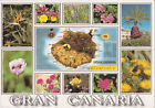 Alte Postkarte - Gran Canaria