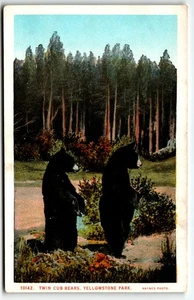 Postkarte Twin Cub Bears Yellowstone Nationalpark UNP Haynes - Bild 1 von 2