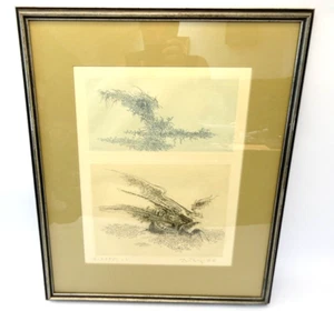 Signed Numbered Gabor Peterdi Elegy Portfolio The Genesis 1966 Etching Print - Picture 1 of 8