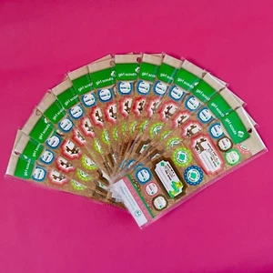 $4 NIP Girl Scouts 28 "TO" "FROM" "MADE BY" "GIFT" Prismatic Stickers+Lbls 70208 - Picture 1 of 10