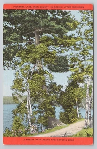 Postal escénica del condado de Pickerel Lake Iron en el alto Michigan - Imagen 1 de 2