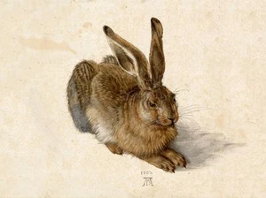 Cartel vintage Albrecht Durer Art - La liebre IMPRESIÓN EN LIENZO 16"X12" - Imagen 1 de 1