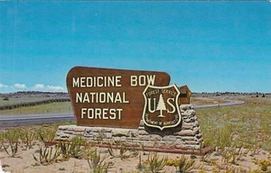Letrero postal vintage cromado de Wyoming arco de medicina bosque nacional - Imagen 1 de 2