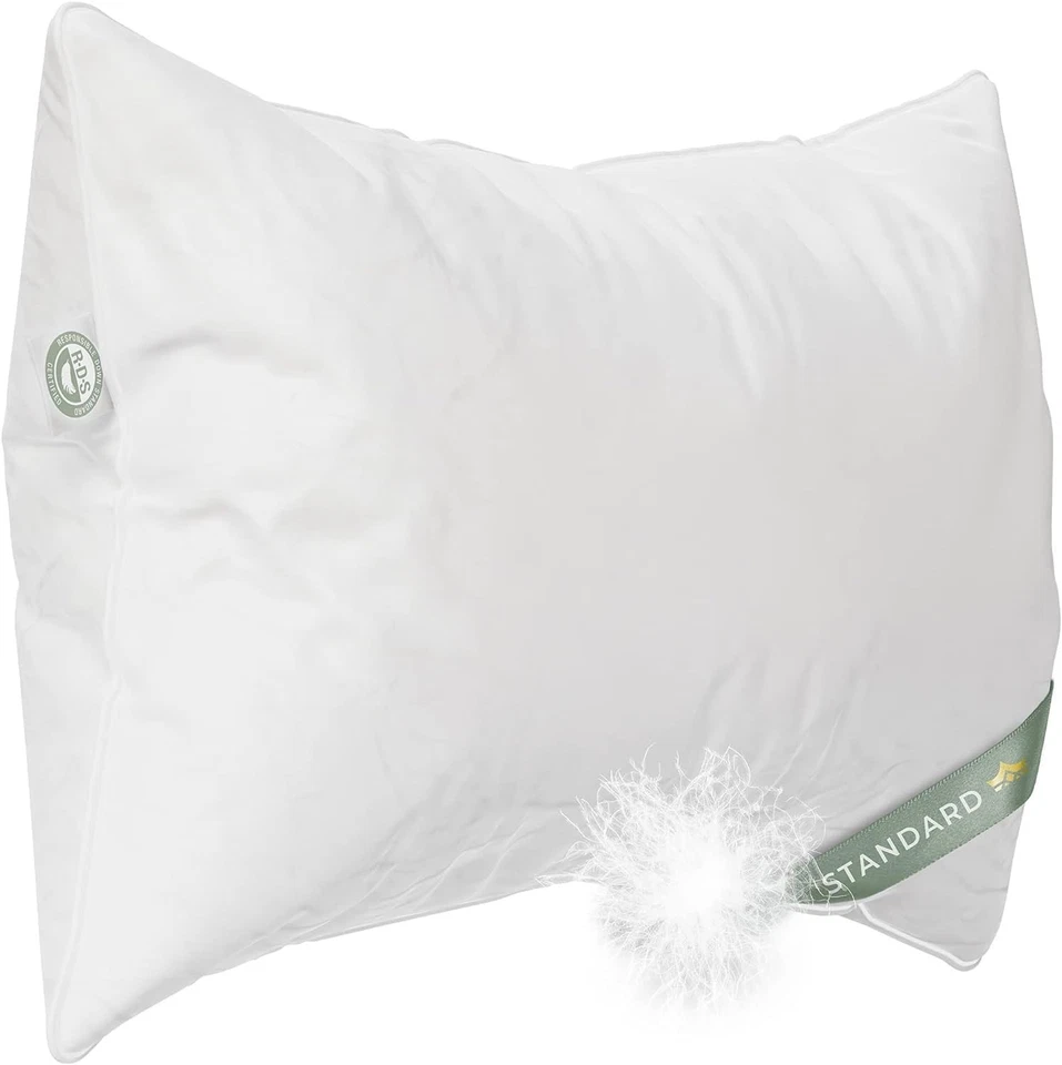 East Coast Bedding European 800 Fill Power White Goose Down Pillow. Standard