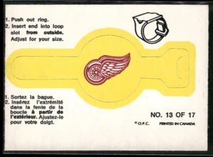 1973-74 O-Pee-Chee DETROIT RED WINGS #13 OPC Push Out Team Ring VTG Set Break NM - Imagen 1 de 2