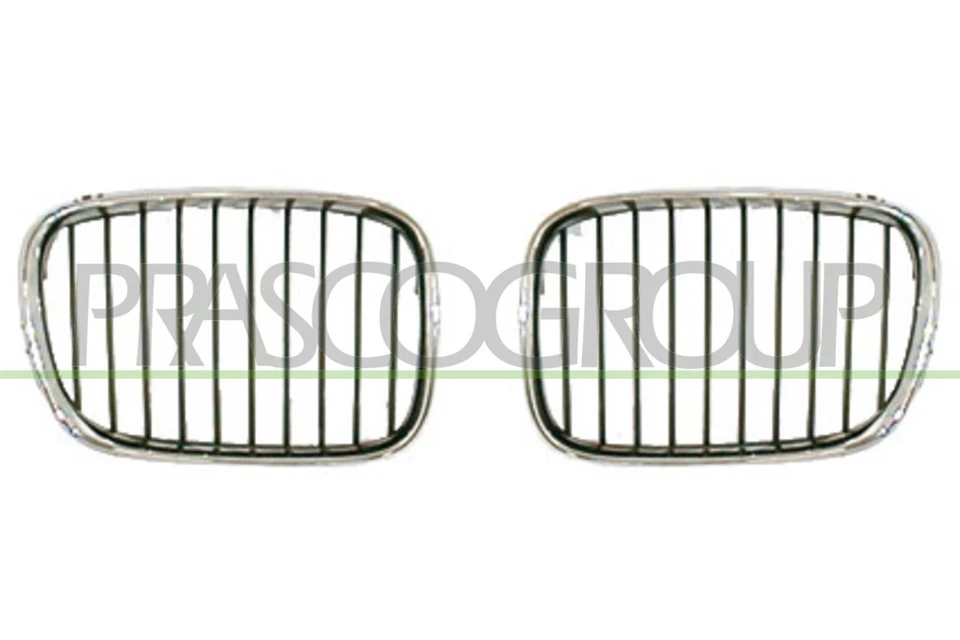 Rejilla De Radiador BM0452004 PRASCO Para BMW - Imagen 1 de 1