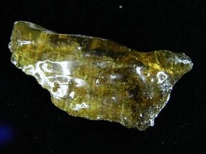 Espécimen de ámbar copal natural del Pleistoceno con insectos - Madagascar 22,40 gramos - Imagen 1 de 7