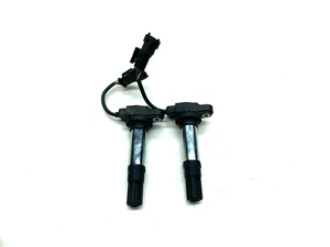 PAR DE BOBINAS DE ENCENDIDO KTM 790 DUKE 2023-2024 R-A654 - Imagen 1 de 5